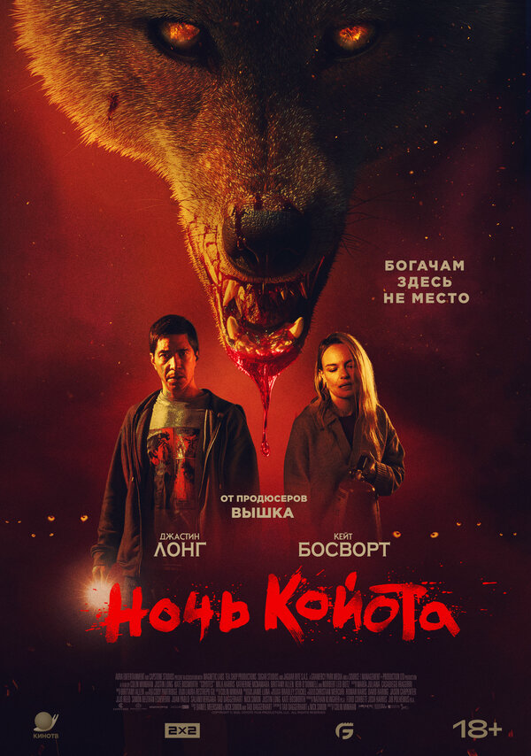 Ночь койота постер
